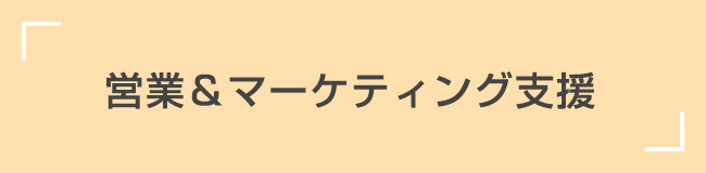 営業＆マーケティング支援